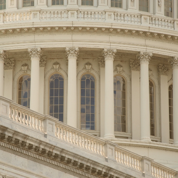Architectural detail of the U.S. Capitol building